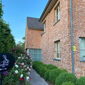 Aline Florentine - Adults Only - Luxury - D'hotes - Frei Bed & Breakfast